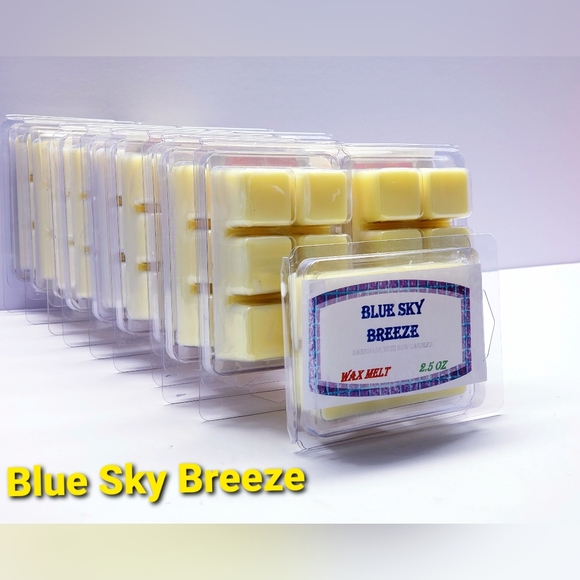 BLUE SKY BREEZE -Bath & Body Works Candle Wax Melts- $8 per pack - Picture 8 of 9